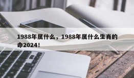 1988年属什么，1988年属什么生肖的命2024！