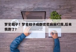 梦见蚊子？梦见蚊子成群密密麻麻叮我,后来我跑了？