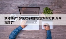 梦见蚊子？梦见蚊子成群密密麻麻叮我,后来我跑了？