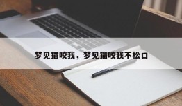 梦见猫咬我，梦见猫咬我不松口