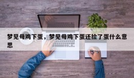 梦见母鸡下蛋，梦见母鸡下蛋还捡了蛋什么意思