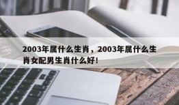 2003年属什么生肖，2003年属什么生肖女配男生肖什么好！