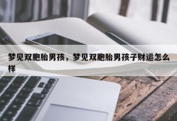 梦见双胞胎男孩，梦见双胞胎男孩子财运怎么样