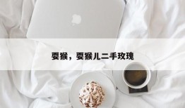 耍猴，耍猴儿二手玫瑰