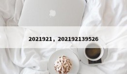 2021921，202192139526