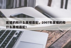 属猪的和什么属相最配，2007年属猪的和什么属相最配！