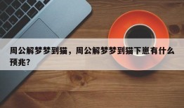 周公解梦梦到猫，周公解梦梦到猫下崽有什么预兆？