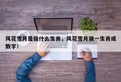 风花雪月是指什么生肖，风花雪月猜一生肖或数字！