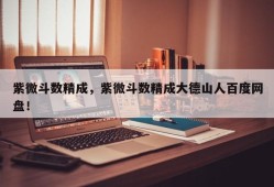紫微斗数精成，紫微斗数精成大德山人百度网盘！