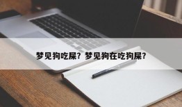 梦见狗吃屎？梦见狗在吃狗屎？