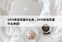 1978年出生是什么命，1978年出生是什么命运！