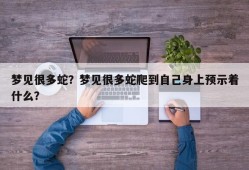 梦见很多蛇？梦见很多蛇爬到自己身上预示着什么？