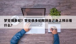 梦见很多蛇？梦见很多蛇爬到自己身上预示着什么？