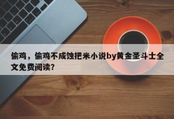 偷鸡，偷鸡不成蚀把米小说by黄金圣斗士全文免费阅读？