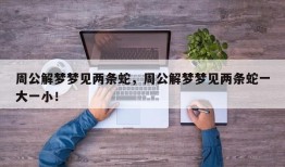 周公解梦梦见两条蛇，周公解梦梦见两条蛇一大一小！