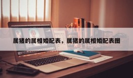 属猪的属相婚配表，属猪的属相婚配表图