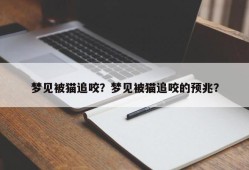 梦见被猫追咬？梦见被猫追咬的预兆？