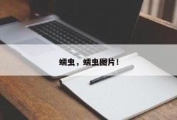 蠕虫，蠕虫图片！