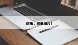 蠕虫，蠕虫图片！
