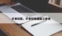 手掌纹路，手掌纹路图解三条线