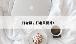 打老鼠，打老鼠图片！