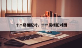 十二属相配对，十二属相配对图