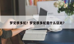 梦见很多蛇？梦见很多蛇是什么征兆？