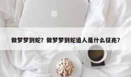 做梦梦到蛇？做梦梦到蛇追人是什么征兆？