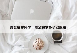 周公解梦怀孕，周公解梦怀孕双胞胎！