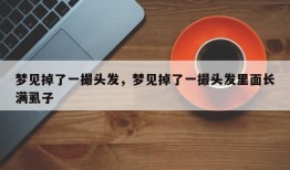 梦见掉了一撮头发，梦见掉了一撮头发里面长满虱子