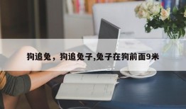 狗追兔，狗追兔子,兔子在狗前面9米