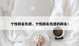 个性网名伤感，个性网名伤感的网名！