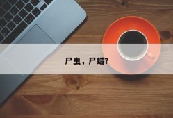尸虫，尸蜡？