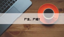 尸虫，尸蜡？