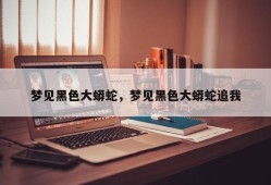 梦见黑色大蟒蛇，梦见黑色大蟒蛇追我