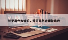 梦见黑色大蟒蛇，梦见黑色大蟒蛇追我