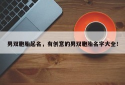 男双胞胎起名，有创意的男双胞胎名字大全！