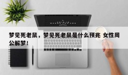 梦见死老鼠，梦见死老鼠是什么预兆 女性周公解梦！
