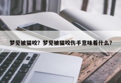 梦见被猫咬？梦见被猫咬伤手意味着什么？