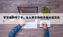 梦见被狗咬了手，女人梦见狗咬手指头是吉兆！